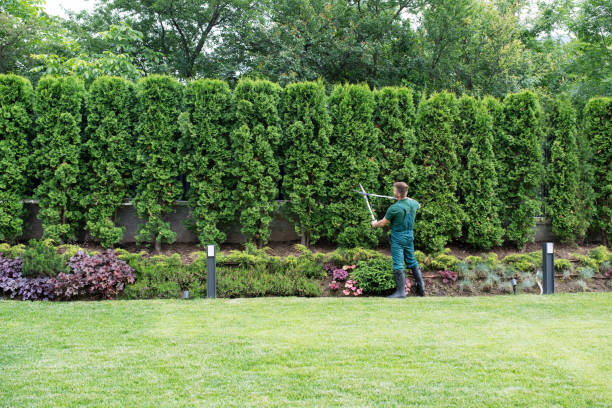 How Our Tree Care Process Works  in  Manasquan, NJ
